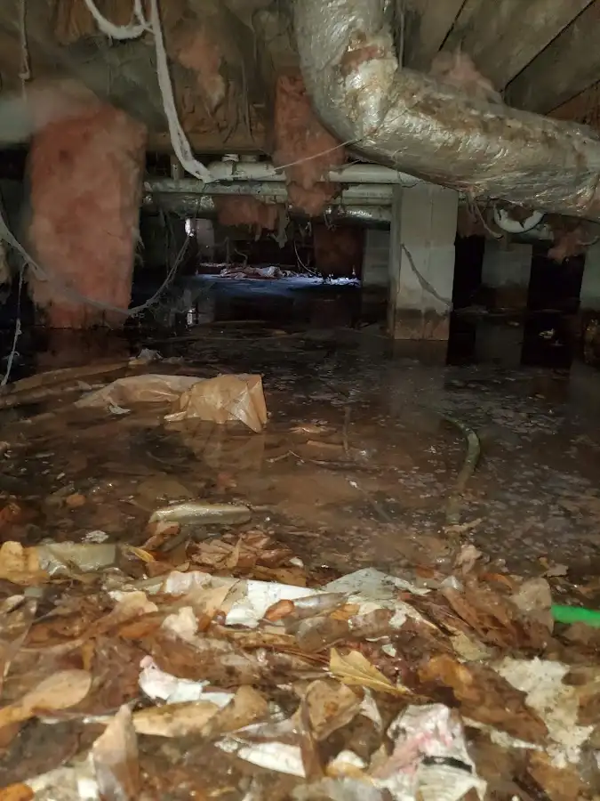 Crawl space flood assessment for Commercial Water Damage Restoration in Palm Beach